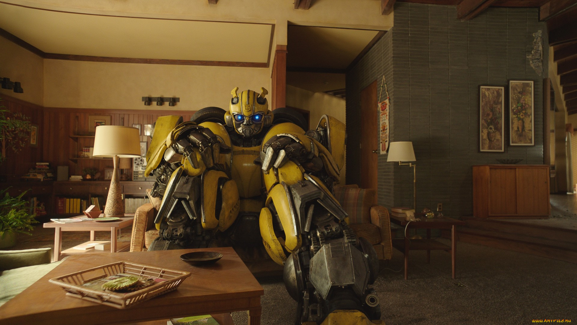 bumblebee , 2018,  , bumblebee, , , , , , , 